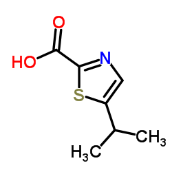 5-异丙基噻唑-2-羧酸图片