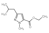 1-METHYL-3-(2-METHYLPROPYL)-1H-PYRAZOLE-5-CARBOXYLIC ACID ETHYL ESTER Structure