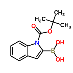 N-Boc-indole-2-boronic acid picture