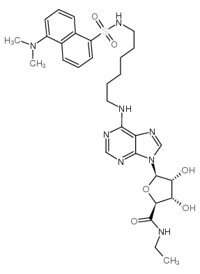 Dansyl-NECA structure