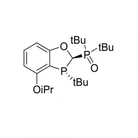 di-tert-butyl((2S,3S)-3-(tert-butyl)-4-isopropoxy-2,3-dihydrobenzo[d][1,3]oxaphosphol-2-yl)phosphine oxide picture