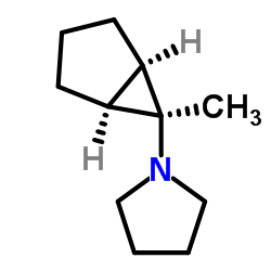 Pyrrolidine, 1-(6-methylbicyclo[3.1.0]hex-6-yl)-, (1-alpha-,5-alpha-,6-ba-)- (9CI) picture