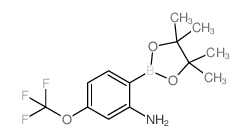 2-(4,4,5,5-四甲基-1,3,2-二氧硼杂环戊烷-2-基)-5-(三氟甲氧基)苯胺图片
