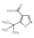 5-TERT-BUTYL-ISOXAZOLE-4-CARBOXYLIC ACID picture