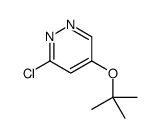 5-tert-butoxy-3-chloropyridazine结构式