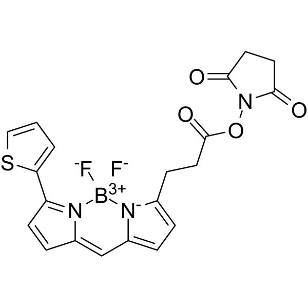 BDP 558/568 NHS ester图片