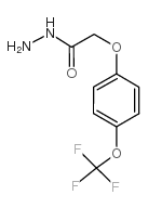 175204-36-1结构式