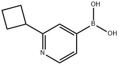 (2-cyclobutylpyridin-4-yl)boronic acid picture