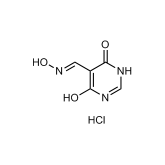 4-羟基-6-氧代-1,6-二氢嘧啶-5-碳醛肟盐酸盐结构式