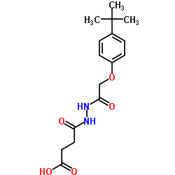 4-{2-[(4-tert-butylphenoxy)acetyl]hydrazino}-4-oxobutanoic acid Structure