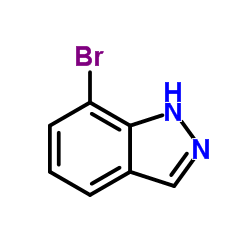 T56 BMNJ IE Structure