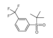 1-tert-butylsulfonyl-3-(trifluoromethyl)benzene结构式