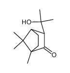 3-(1-hydroxy-1-methylethyl)camphor Structure