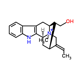 马枯素B图片