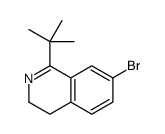 7-bromo-1-tert-butyl-3,4-dihydroisoquinoline Structure