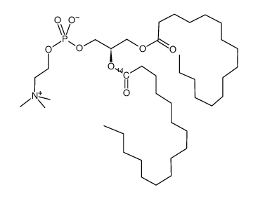 PHOSPHATIDYLCHOLINE-L-α-DIPALMITOYL, [2-PALMITOYL-1-14C] Structure