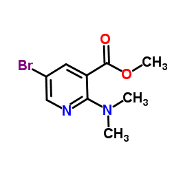 Methyl 5-bromo-2-(dimethylamino)nicotinate图片