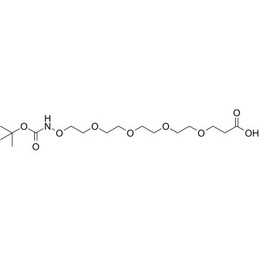 Boc-aminoxy-PEG4-acid picture