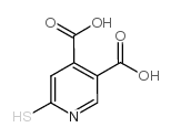 6-MERCAPTOPYRIDINE-3,4-DICARBOXYLIC ACID structure