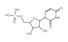 聚尿苷酸钾盐结构式