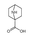 7-azabicyclo[2.2.1]heptane-1-carboxylic acid结构式