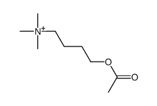 (4-acetoxybutyl)trimethylammonium structure