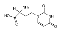 1-(3'-amino-3'-carboxypropyl)uracil picture