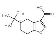 5-(TERT-BUTYL)-4,5,6,7-TETRAHYDROBENZO[D]ISOXAZOLE-3-CARBOXYLIC ACID structure