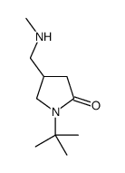 4-[(Methylamino)methyl]-1-(2-methyl-2-propanyl)-2-pyrrolidinone结构式