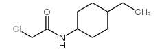 2-chloro-N-(4-ethylcyclohexyl)acetamide图片