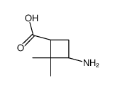 Cyclobutanecarboxylic acid, 3-amino-2,2-dimethyl-, cis- (9CI)结构式