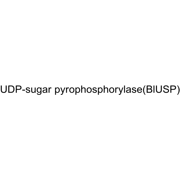 UDP-sugar pyrophosphorylase (AtUSP) Structure