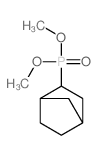 Phosphonic acid,bicyclo[2.2.1]hept-2-yl-, dimethyl ester, exo- (9CI) picture