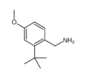 (2-tert-butyl-4-methoxyphenyl)methanamine Structure