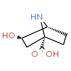 7-Azabicyclo[2.2.1]heptane-1-carboxylicacid,3-hydroxy-,(1S,3S,4R)-(9CI)结构式