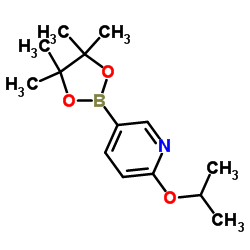 2-异丙氧基-5-(4,4,5,5-四甲基-1,3,2-二杂氧戊硼烷-2-基)吡啶图片