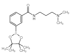 N-[3-(N,N-二甲基氨基)丙基]苯甲酰胺-3-硼酸频那醇酯图片