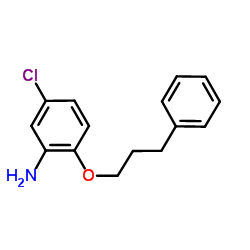 5-Chloro-2-(3-phenylpropoxy)aniline结构式