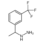 1016530-78-1 structure