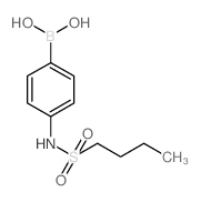 4-(Butylsulfonamido)phenylboronic acid picture