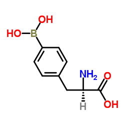 4-Borono-D-phenylalanine picture