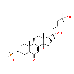 14,20,25-Trihydroxy-3β-(phosphonooxy)-5β-cholest-7-en-6-one picture