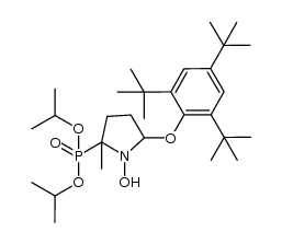 diisopropyl (1-hydroxy-2-methyl-5-(2,4,6-tri-tert-butylphenoxy)pyrrolidin-2-yl)phosphonate结构式