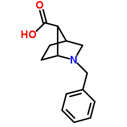 ANTI-2-BENZYL-2-AZABICYCLO[2.2.1]HEPTANE-7-CARBOXYLIC ACID结构式