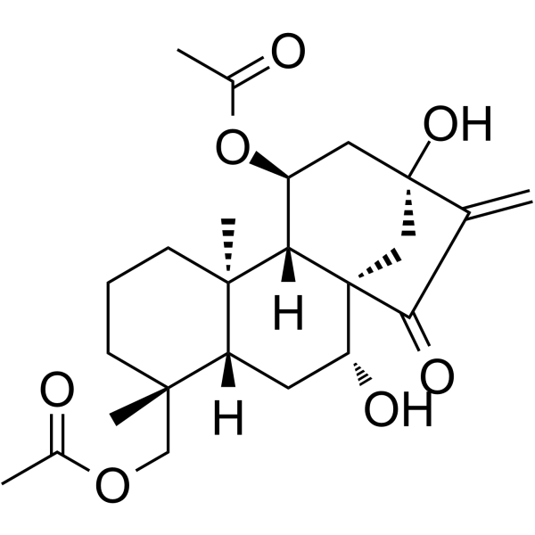 叶含乙酰瘿花香茶菜素 B图片