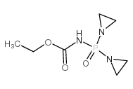 Carbamic acid,N-[bis(1-aziridinyl)phosphinyl]-, ethyl ester picture