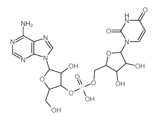 Uridine, adenylyl-(3'®5')-结构式