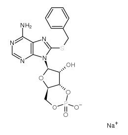 50655-17-9结构式