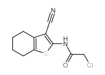 2-氯-N-(3-氰基-4,5,6,7-四氢-1-苯并噻吩-2-基)乙酰胺结构式