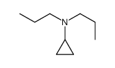 Cyclopropanamine, N,N-dipropyl- (9CI) picture